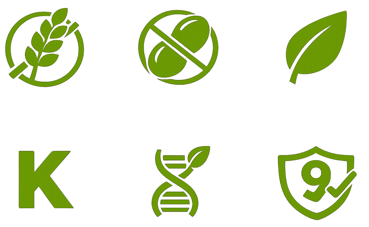 Set of green icons related to health and wellness on a white background